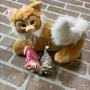 Kitty surprise orange and 2 kittens